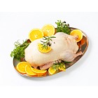 Raw duck with orange slices and herbs on tray